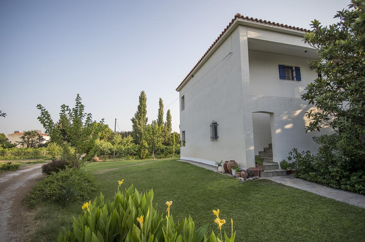 Eressos Ilios Apartments Скала-Ересу Екстер'єр фото
